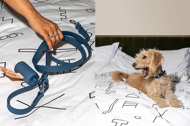 side by side images, left image blue leash and matching poop carrier, right image dog wearing matching blue collar