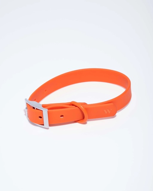 Collar in the color Poppy