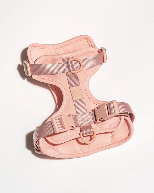 Harness in the color blush