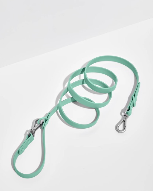 Leash in the color seafoam