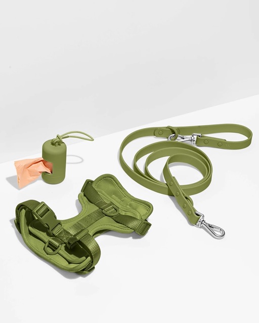 Harness walk kit in the color olive green